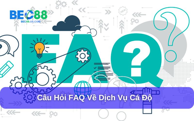 Giải Đáp Câu Hỏi Thường Gặp Bec88 Dành Cho Người Mới Bắt Đầu